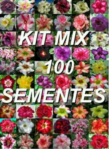 Sementes rosa do deserto kit mix