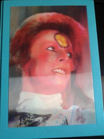 David Bowie The Rise of David Bowie, 