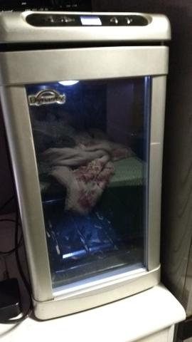Mini frigobar