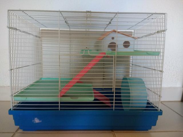 Gaiola Hamster Luxo