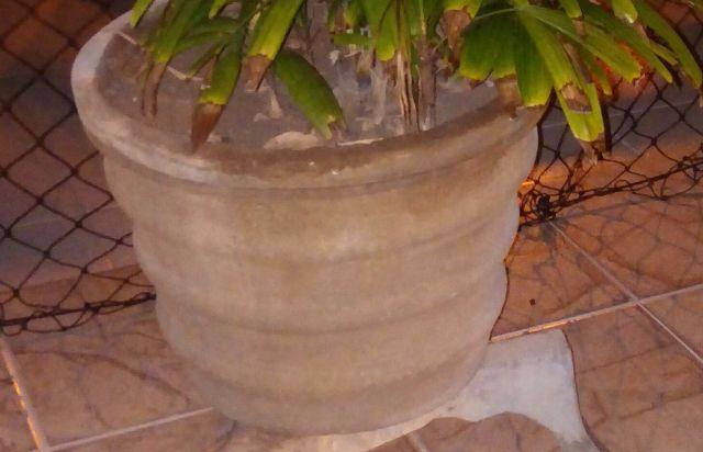 Vasos de cimento para plantas