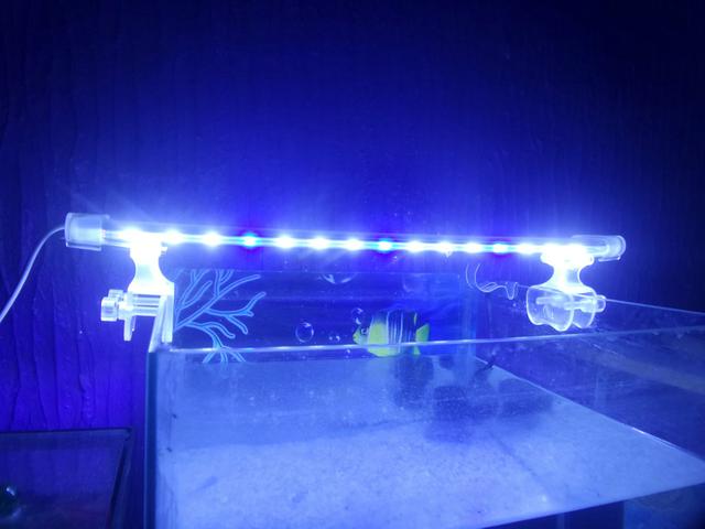 Luminária para Aquario Led Branca e azul
