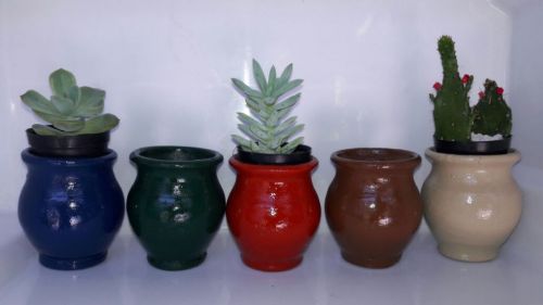 mini vazos