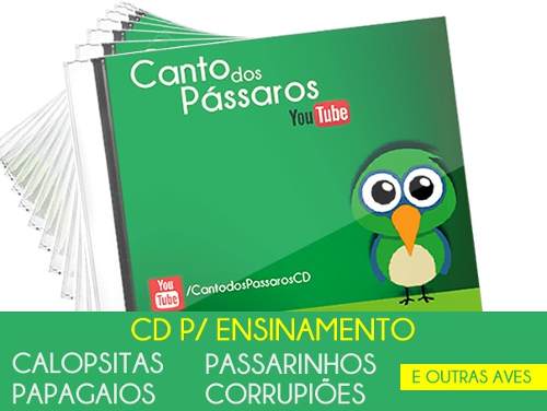 Cd P/ Ensinamento De Calopsitas, Papagaios E Passarinhos