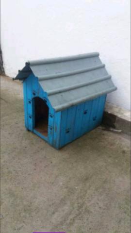 Casinha cão usada tam. 5 madeira telhado Pvc bem boa