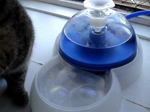 Fonte de água bebedouro para gatos ou cachorros