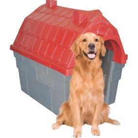 Casa gigante para cães de grande porte