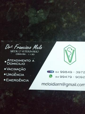 Medico veterinário em Ceará Mirim