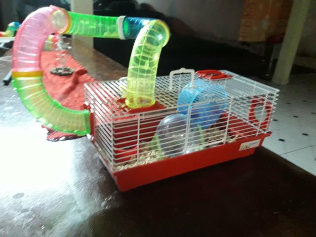 Gaiola p hamster