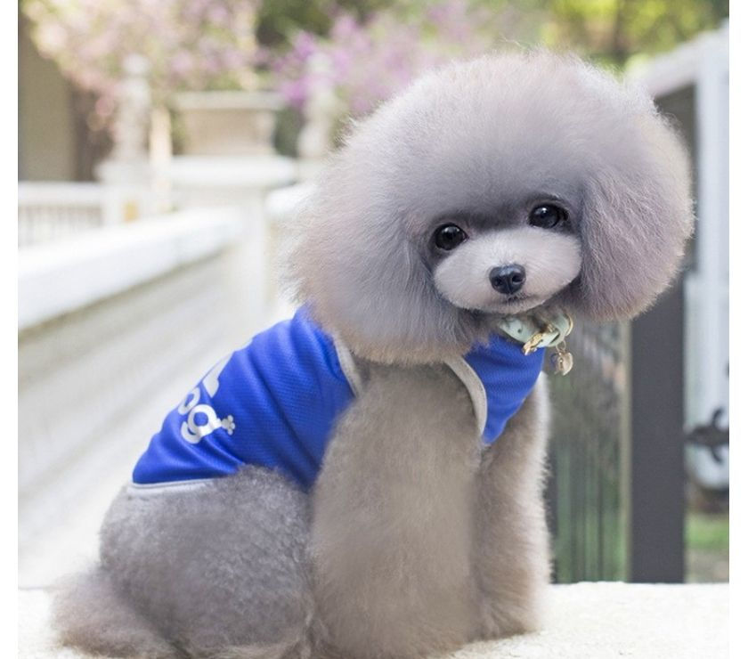 Roupa Camisa Colete Cão Cachorro de Estimação PET