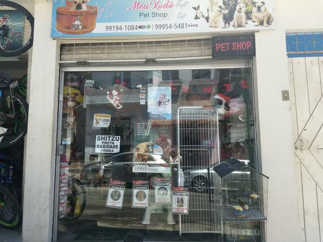 Pet Shop com Banho e Tosa