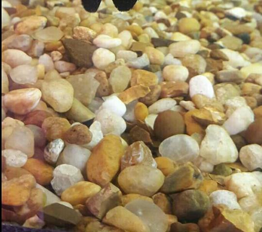 Pedras substrato aquário