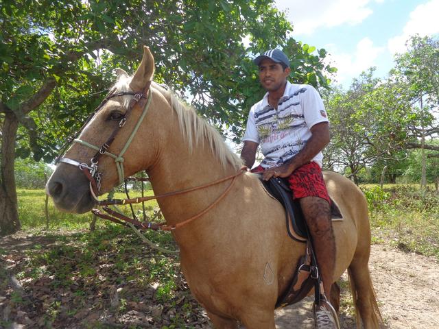02 cavalos: Mangalarga Machador e mestiço