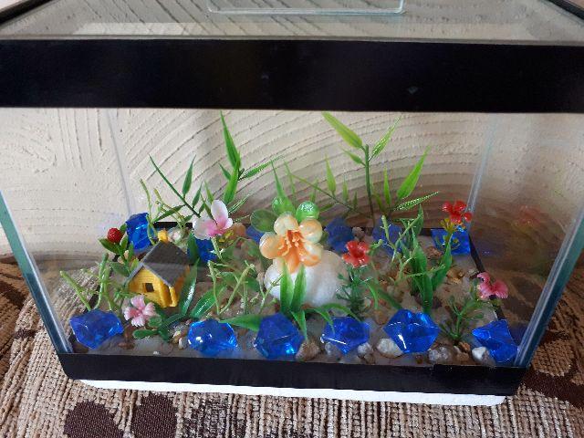 Mini aquário Beta