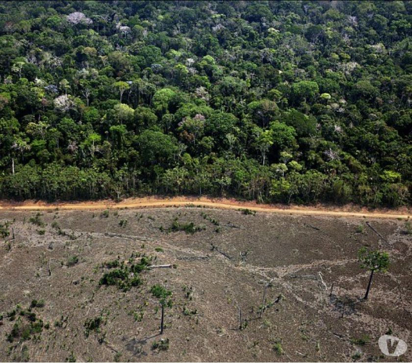 Fazenda Floresta Amazônia com ICMBio ha Lábrea-AM