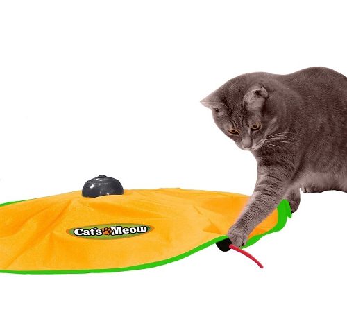Brinquedo Interativo Para Gato Cats Meow
