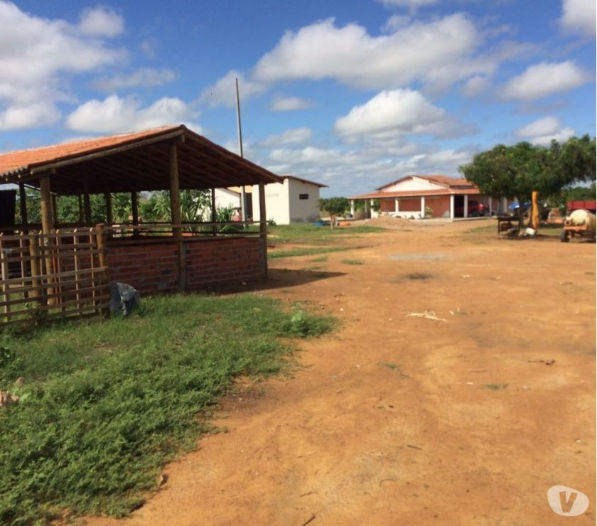 Fazenda em Juazeiro da Bahia 45 hectares