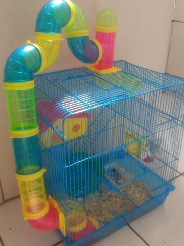 Hamster com Gaiola completa