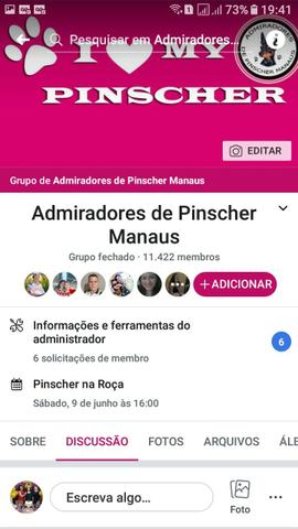 Grupo Admiradores de Pinscher Manaus