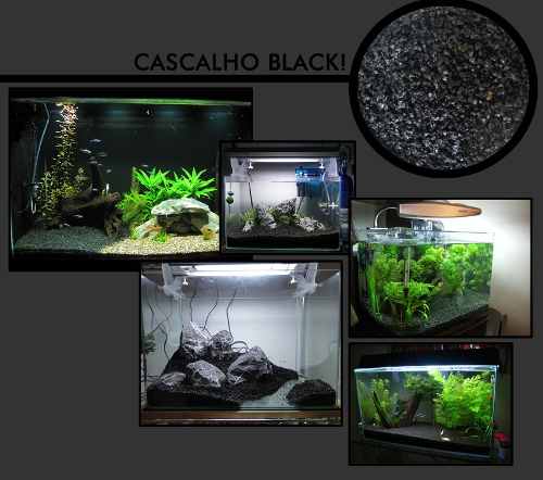 Substrato Black Aquarismo Cascalho Inerte Plantado Peixe 1kg