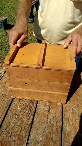 Caixas de abelhas jatai