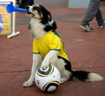 Roupinha Copa do Mundo Brasil