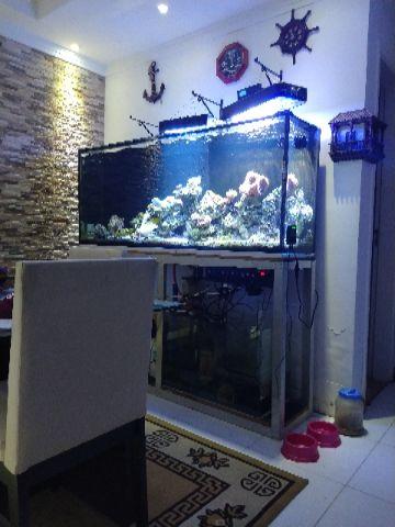 Vidro e suporte de aquário 500 litros