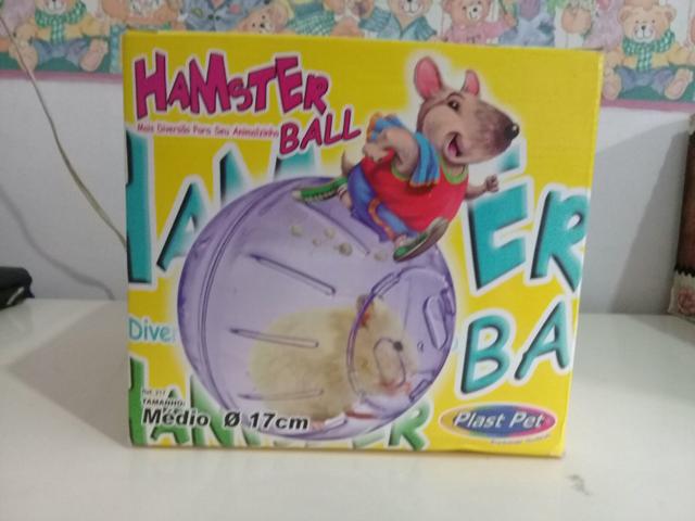 Bola de exercícios para hamster
