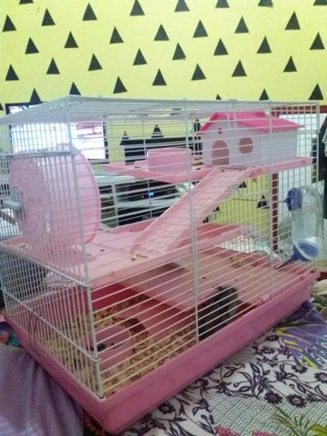 Hamster + gaiola