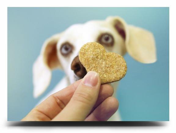 Curso Biscoitos Naturais para Cachorros