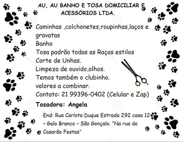 Banho e Tosa Domiciliar (Cães e Gatos)