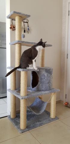 Arranhador/ Torre para gatos
