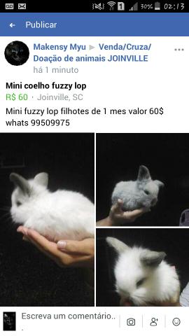 Mini fuzzy lop