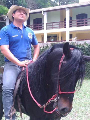 Cavalo MM negro,