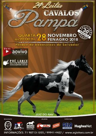 Vendo Cavalos e Eguas Pampa  na Fenagro
