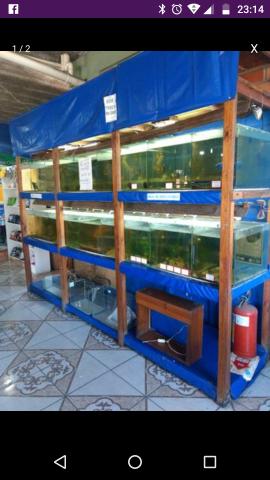 Bateria de aquários