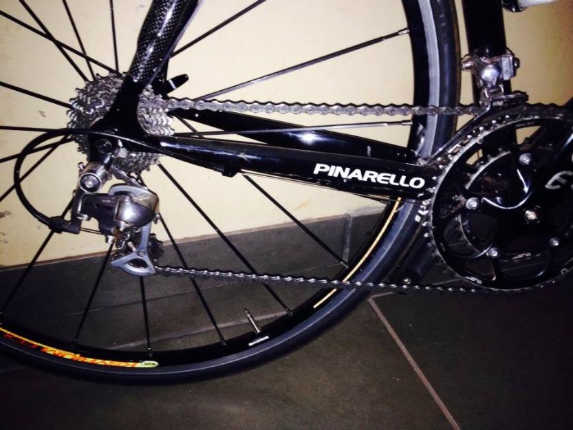 pinarello speed