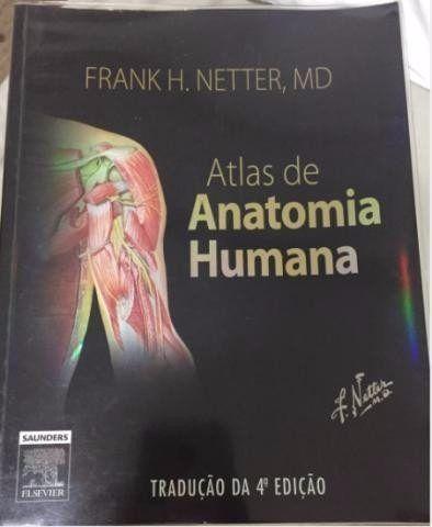 Atlas De Anatomia Humana Netter Pdf Portugues