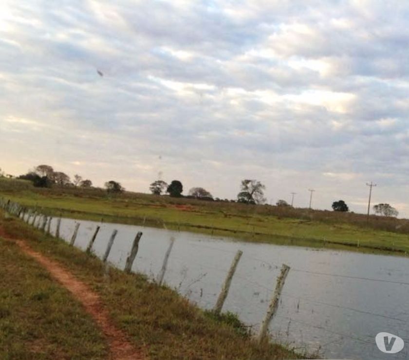 Oportunidade De Fazenda Em Nova Alvorada Do Sul Ms [ OFERTAS ] | Vazlon ...