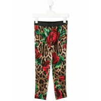 Dolce & Gabbana Kids Legging animal print - Marrom