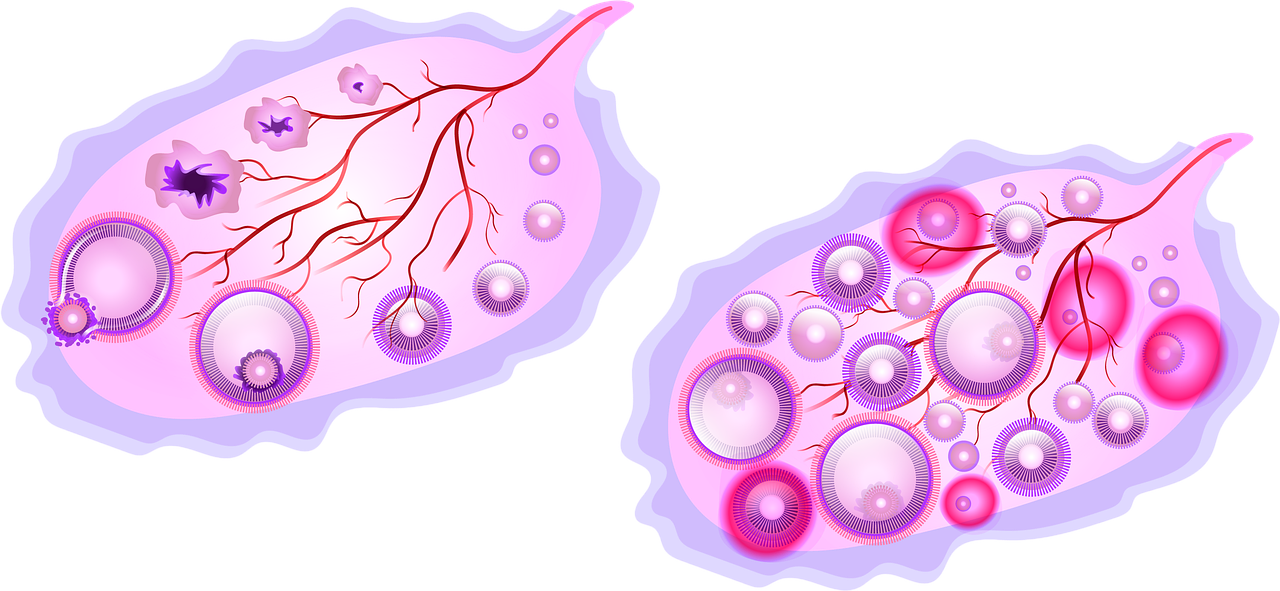 Como é o sangramento durante a ovulação?