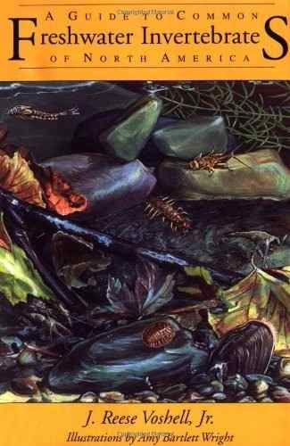A Guide To Common Freshwater Invertebrates Of North America