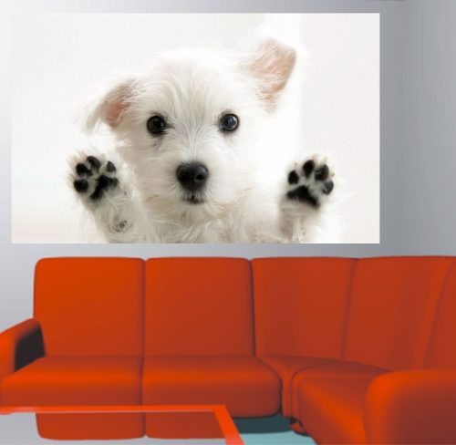 Adesivo Parede Porta Pet Shop Animais Cachorro - Brindesi9