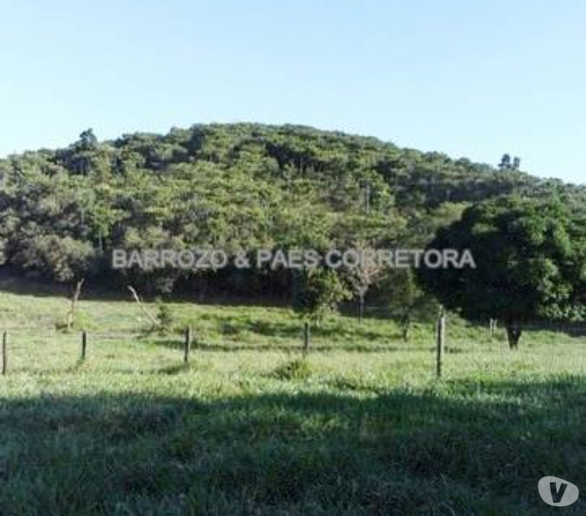 Barrozo & Paes - Fazenda 10 alq - (Ref: F107)