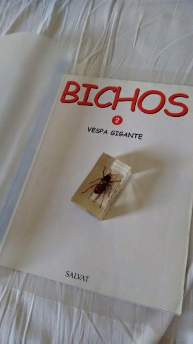 Coleção Bichos Editora Salvat - Vespa Gigante