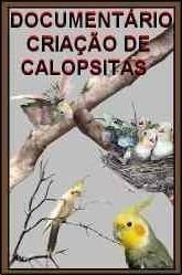 Fantástico Documentário Calopsitas + Brindes!