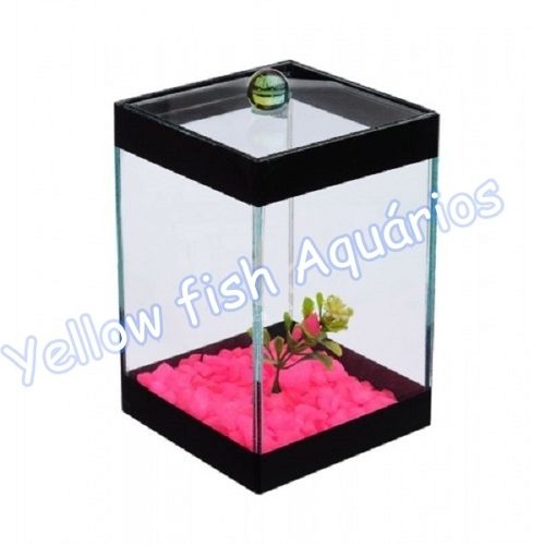 Kit 10 Unidades Beteira Quadrada 10 X 10cm Decorada Aquário