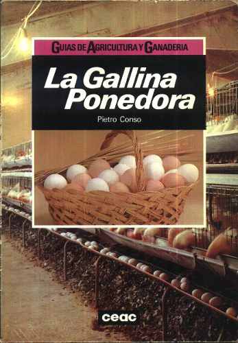 La Gallina Ponedora - Conso