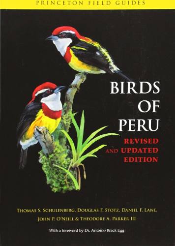 Livro - Birds Of Peru (princeton Field Guides)