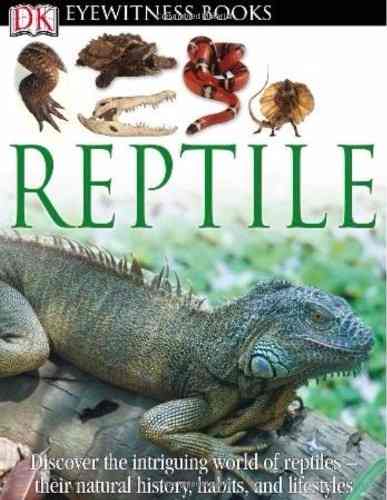 Livro - Dk Eyewitness Books: Reptile